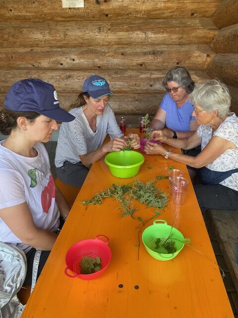 Dorfverein Guntmadingen